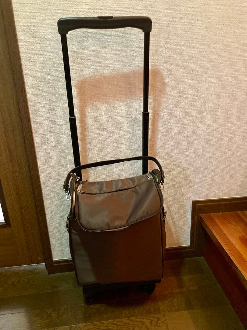 お値下げ❗️美品SWANY WalkinBag ブラウン キャリーケース