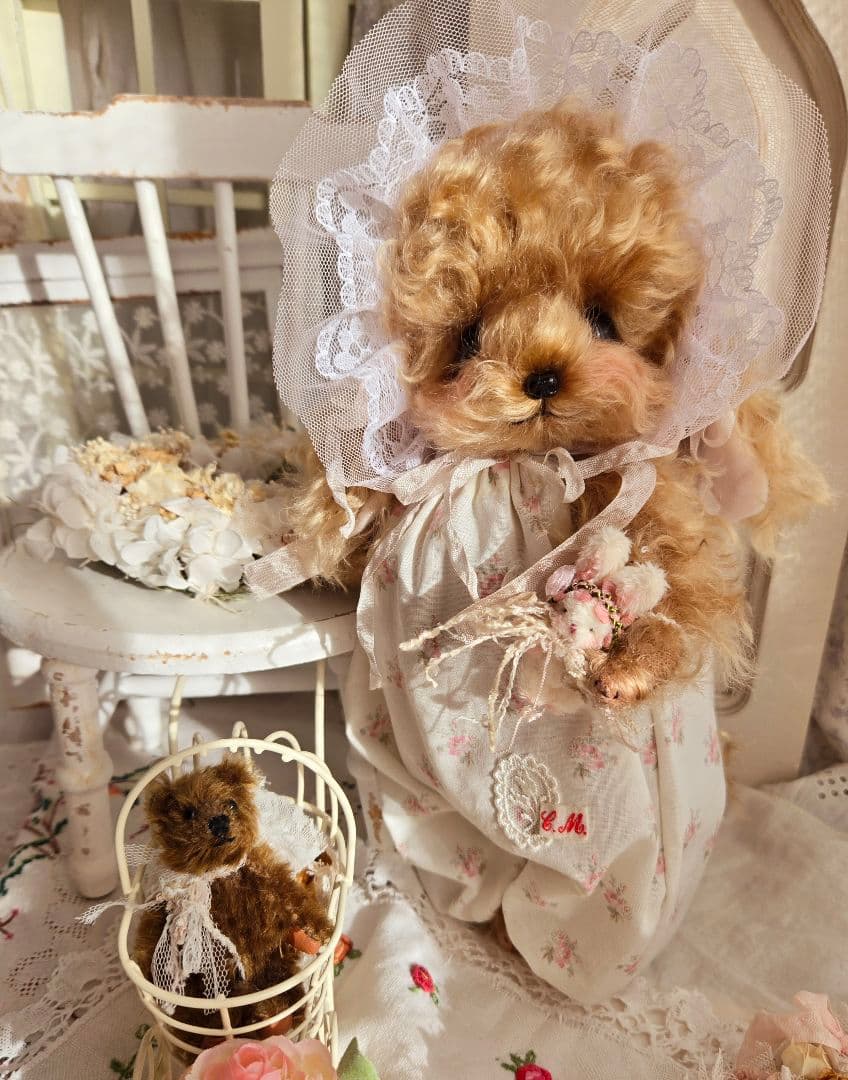 カーリーモヘアのトイプードルちゃん.*・゜特別なset₊˚⊹ ʚɞ テディベア