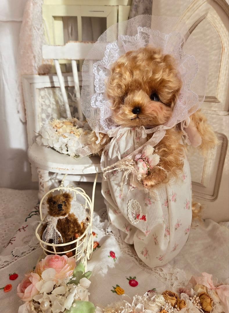 カーリーモヘアのトイプードルちゃん.*・゜特別なset₊˚⊹ ʚɞ テディベア