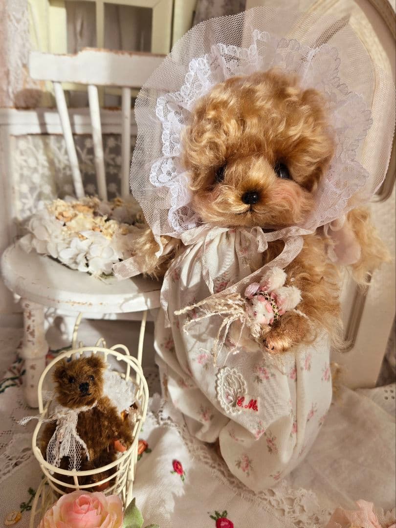 カーリーモヘアのトイプードルちゃん.*・゜特別なset₊˚⊹ ʚɞ テディベア