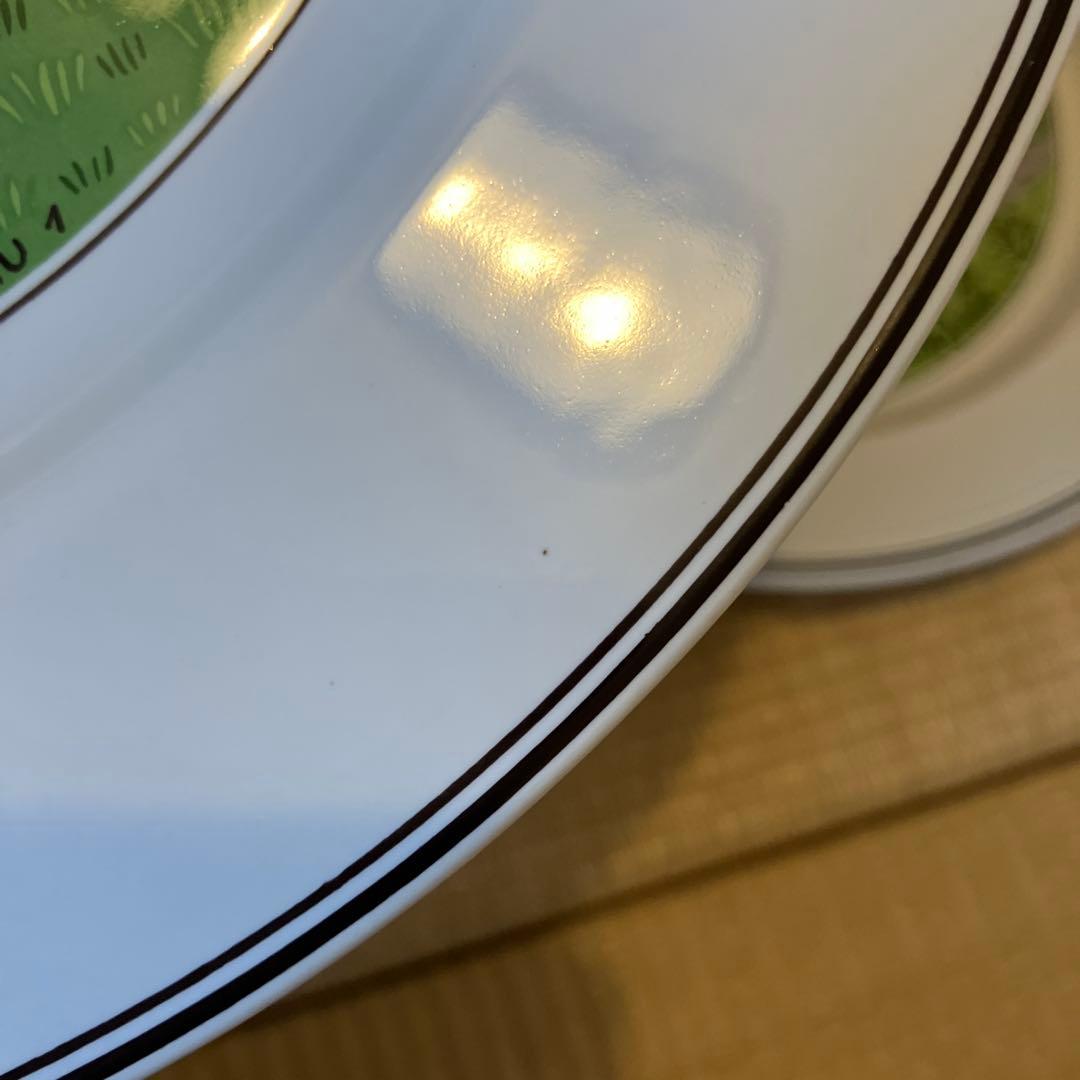 ヴィレロイボッホ　プレート　6枚セット　デザインナイーフ　27cm