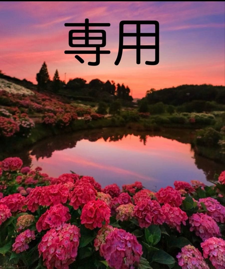 sufiakun様 お取置き品　8/31迄