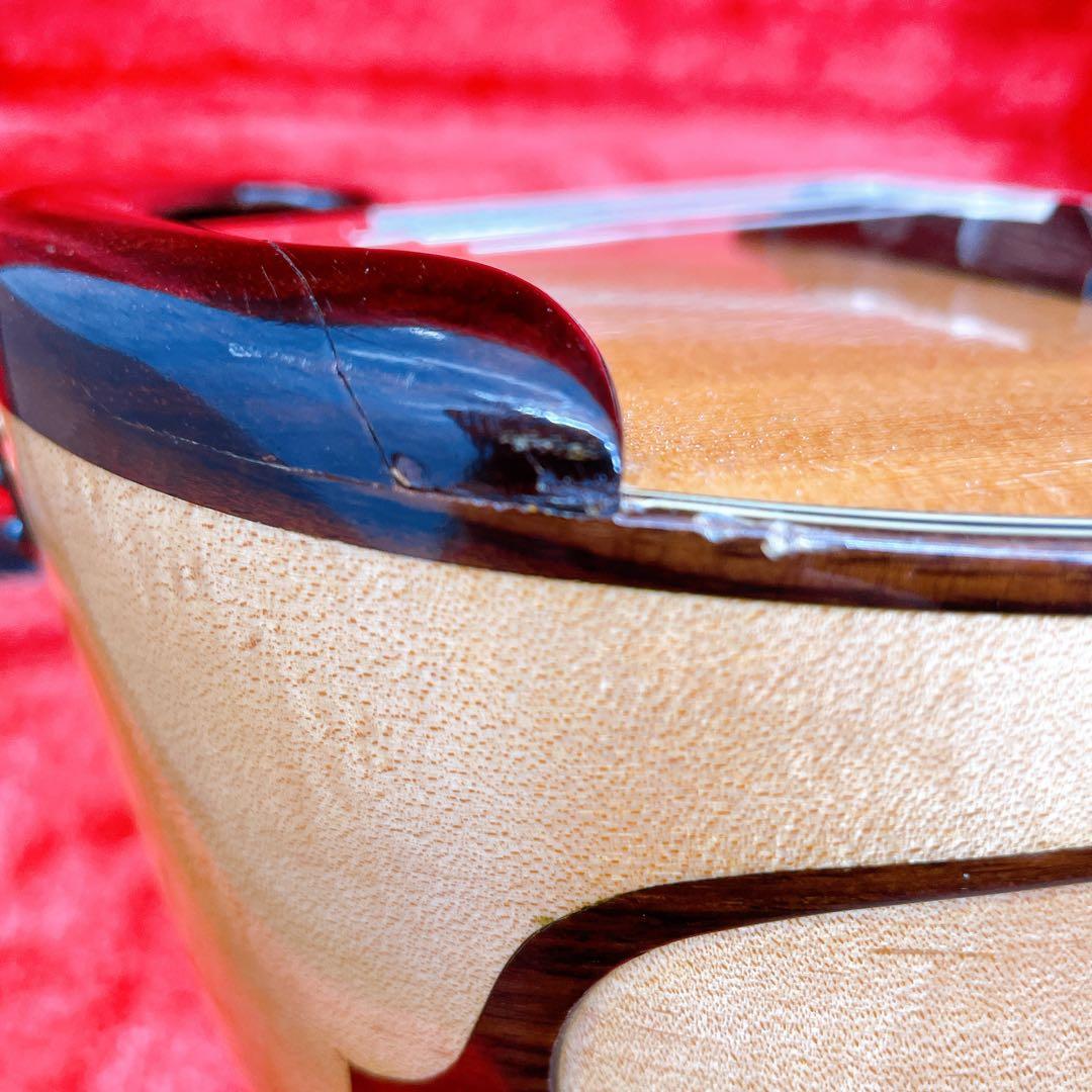 リブ胴　鈴木　マンドリン　M-80 ハードケース　SUZUKI