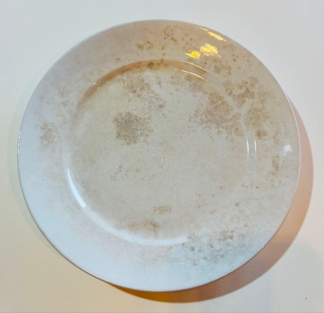 フランスアンティーク サーギュミヌ窯 美しい白いお皿-A 22.5cm