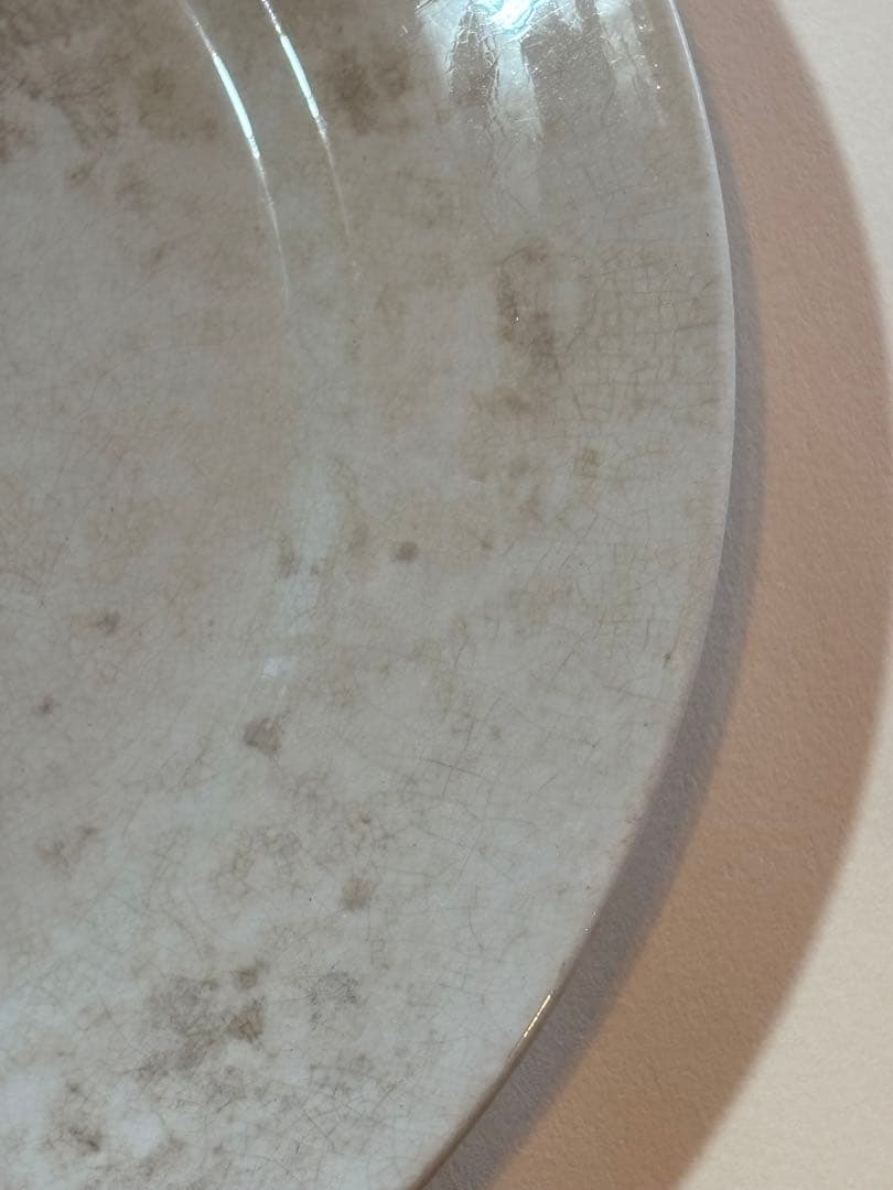 フランスアンティーク サーギュミヌ窯 美しい白いお皿-A 22.5cm