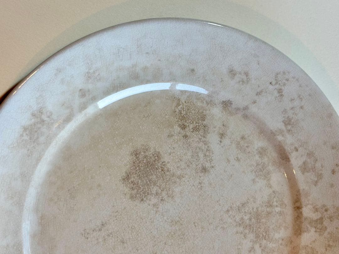 フランスアンティーク サーギュミヌ窯 美しい白いお皿-A 22.5cm