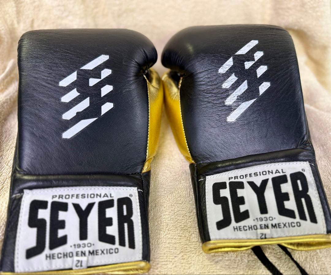 SEYER プロフェッショナル ボクシンググローブ 12oz 黒