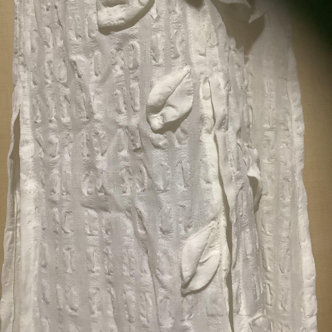 未使用　さえら　ポテチーノ　エプロン　バラモチーフ　ヒスクローネ　アキアカネ