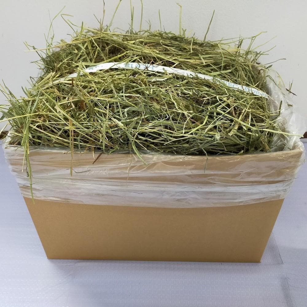 【業販価格】US産 チモシー 180kg ２番刈 ソフトSプレミアム