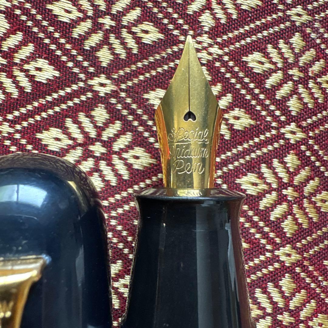 チタンペン先の黒い万年筆