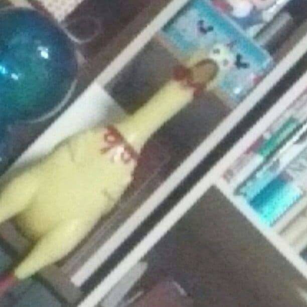 タンドリーチキン