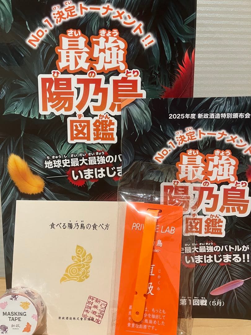 新政頒布会　2025 陽乃鳥