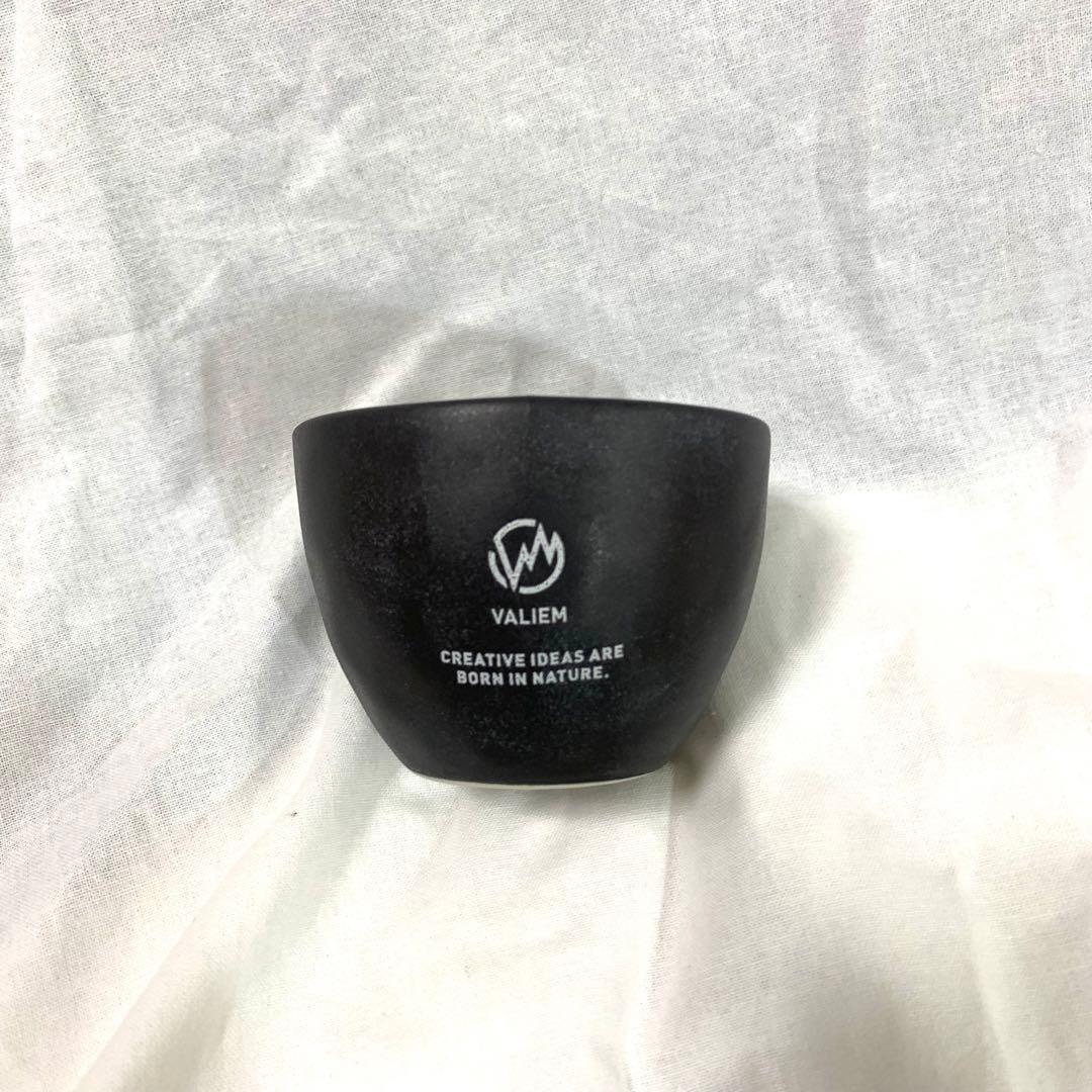 valiem 鉢　インビシブル　多肉植物　根塊植物　グラキリス