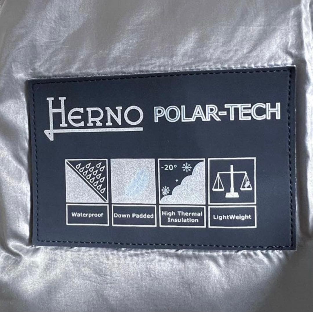 Herno ファー付きダウンジャケット グレー