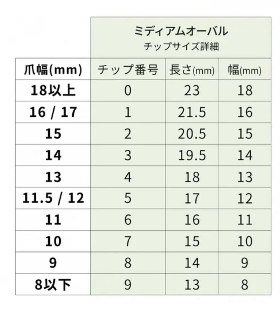 EVERNAIL エバーネイル　リピネイル　RIPINAIL ネイルチップ