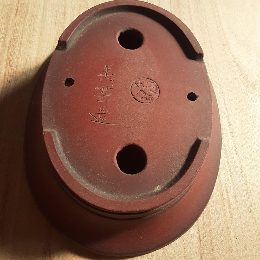 美芸造 赤土色 盆栽鉢
