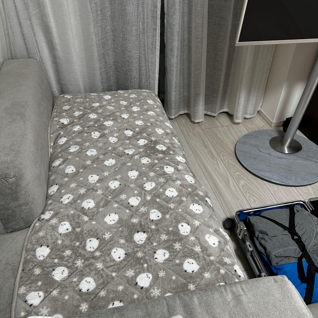 引越し前最終セール【Francfranc】メーネ ソファ 2 R ライトグレー