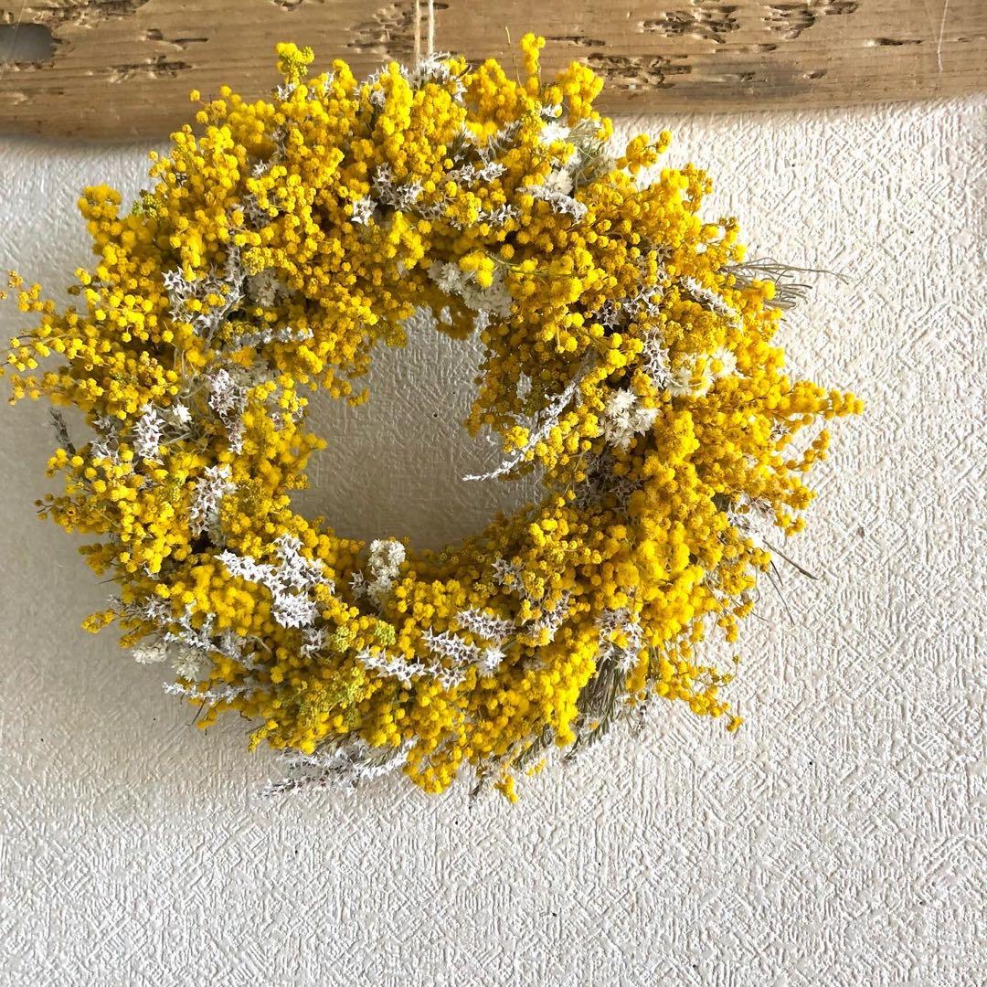 ミモザリース　ミモザ