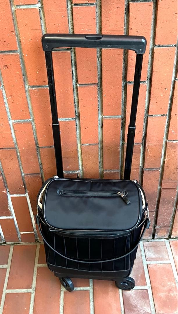 スワニーリニーエ D-597　ブラック4輪ストッパーショッピングカート