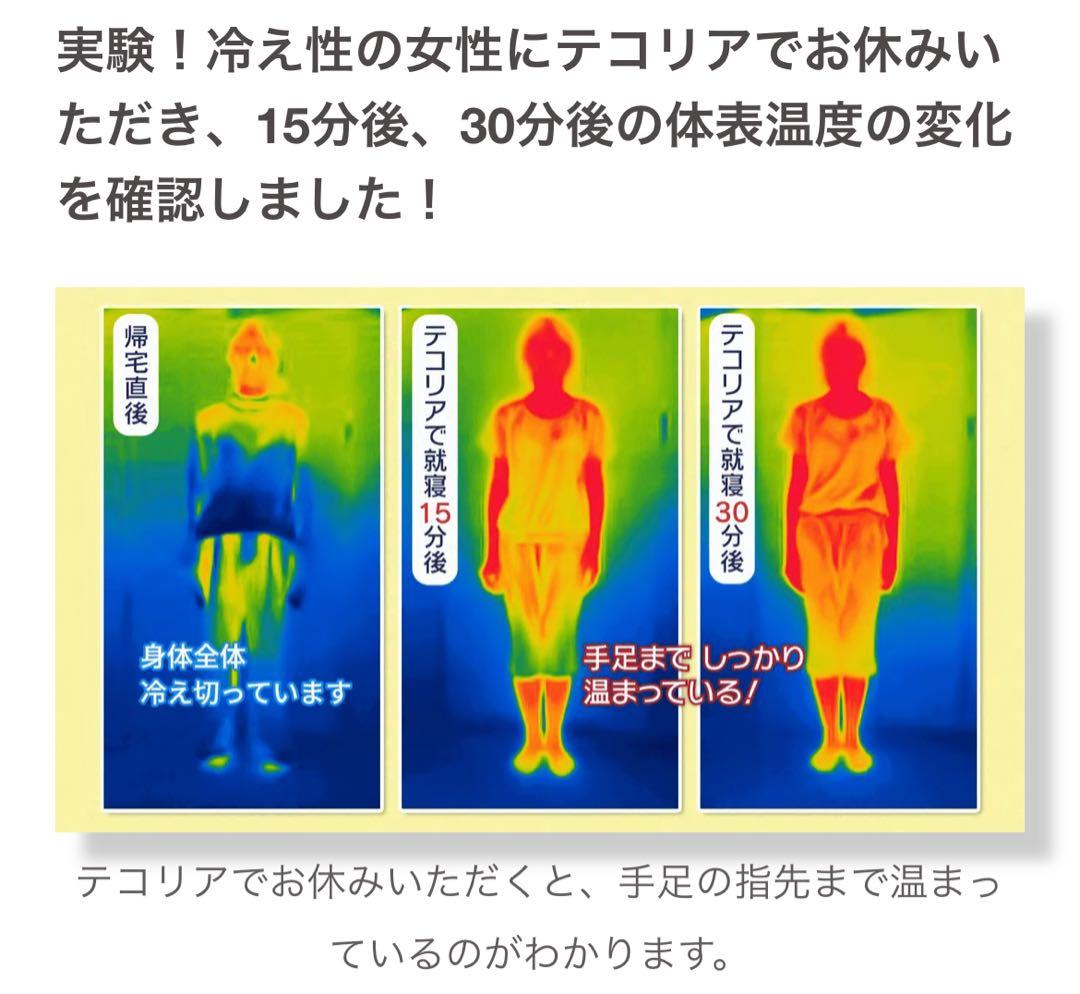 【新品】【定価80%OFF】 空気循環マットレス テコリア ダブル