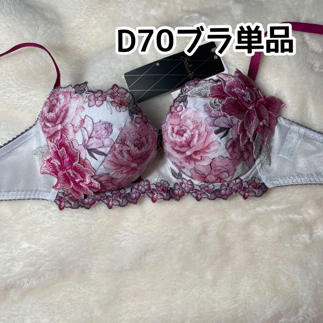 サルート21グループワークアップブラD70ブラ単品