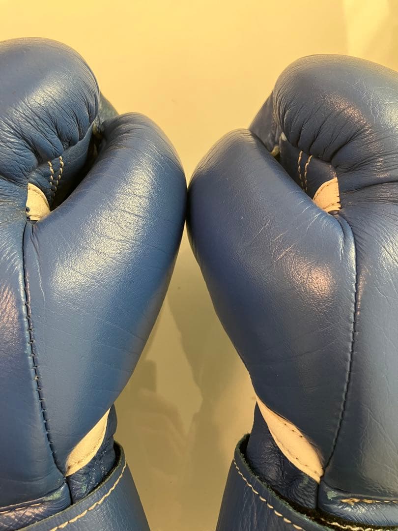Winning ボクシンググローブ 10oz 青