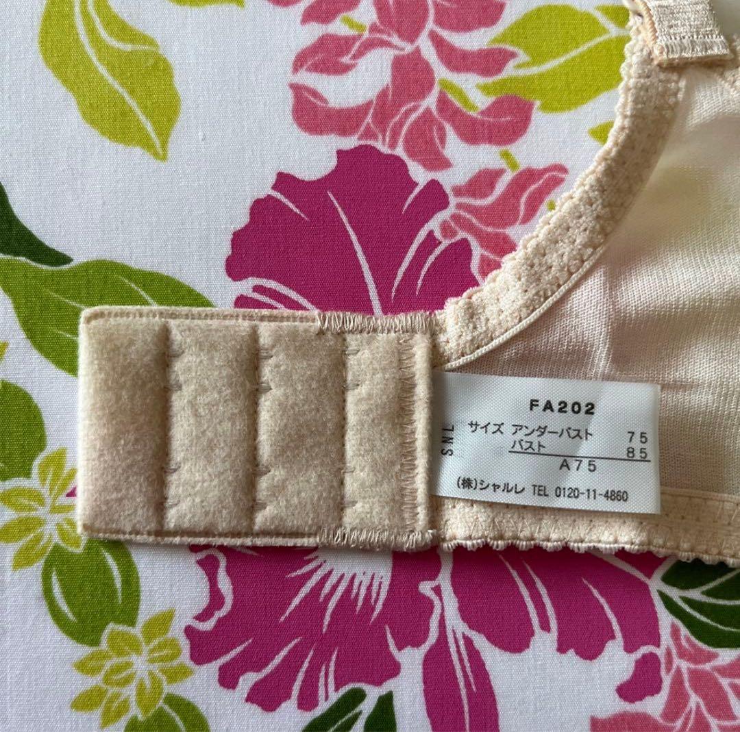 かわうそ93 シャルレ　ファーチェブラ　A75 3枚