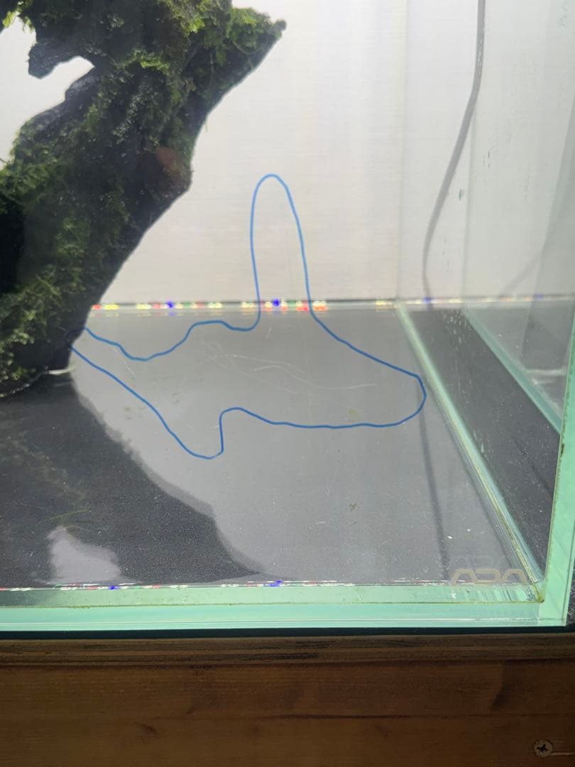 水槽セット　引取限定or配達　発送不可