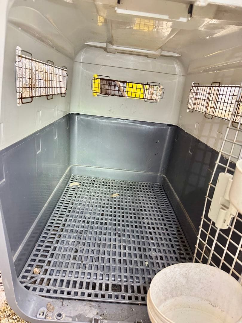 飛行機　犬 キャリーケース ペット エアトラベルキャリー ペット用ケージ