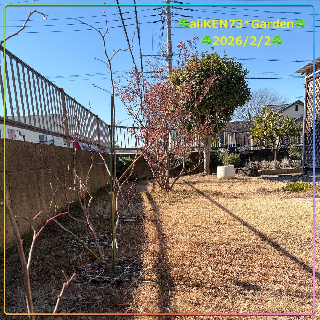 ☘️aiiKEN73*Garden☘️AG202602