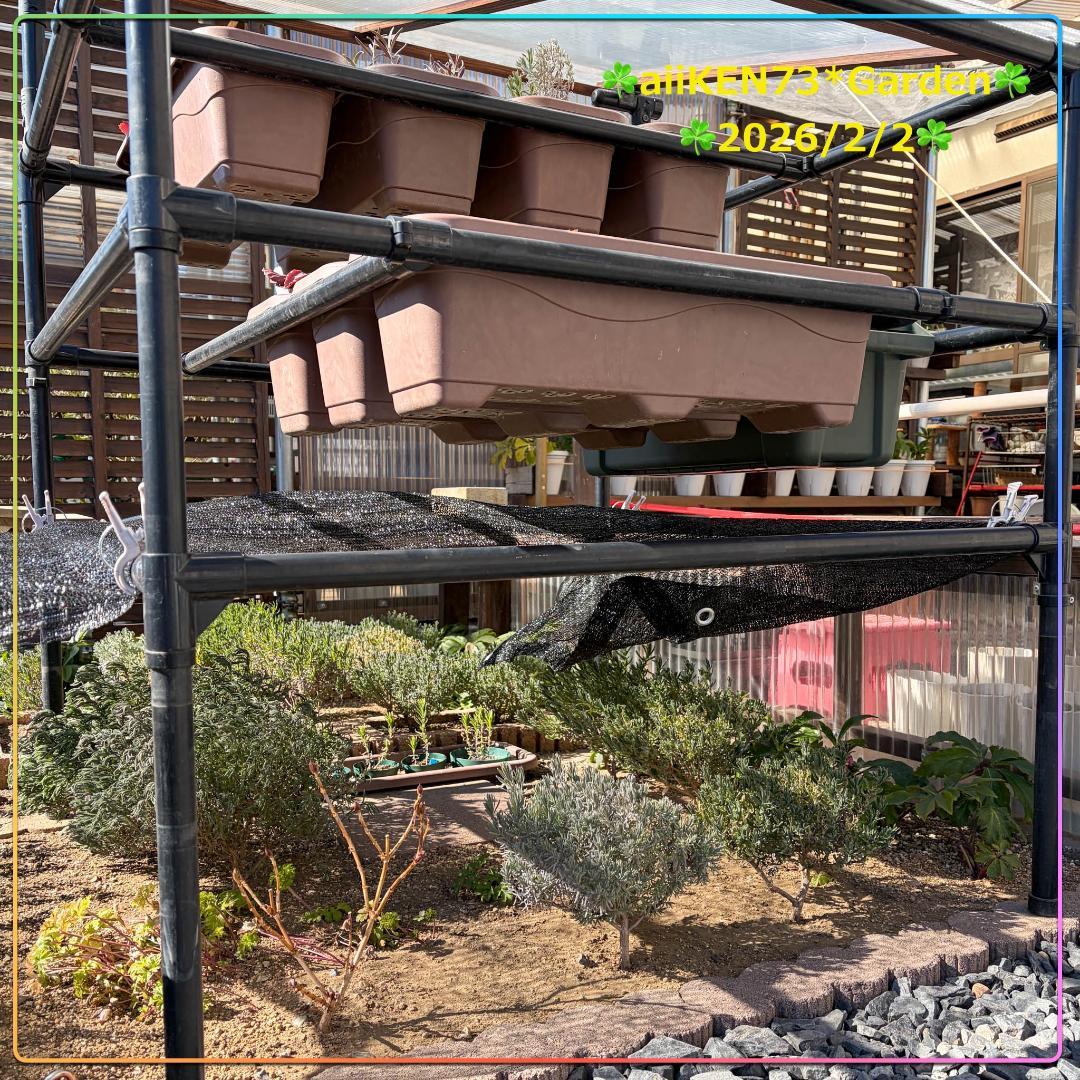 ☘️aiiKEN73*Garden☘️AG202602