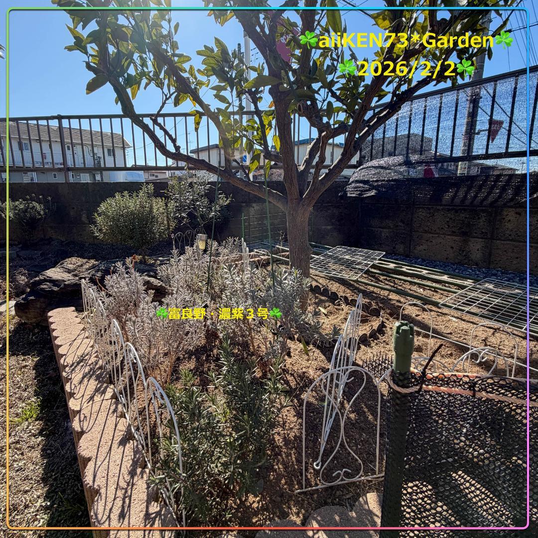 ☘️aiiKEN73*Garden☘️AG202602