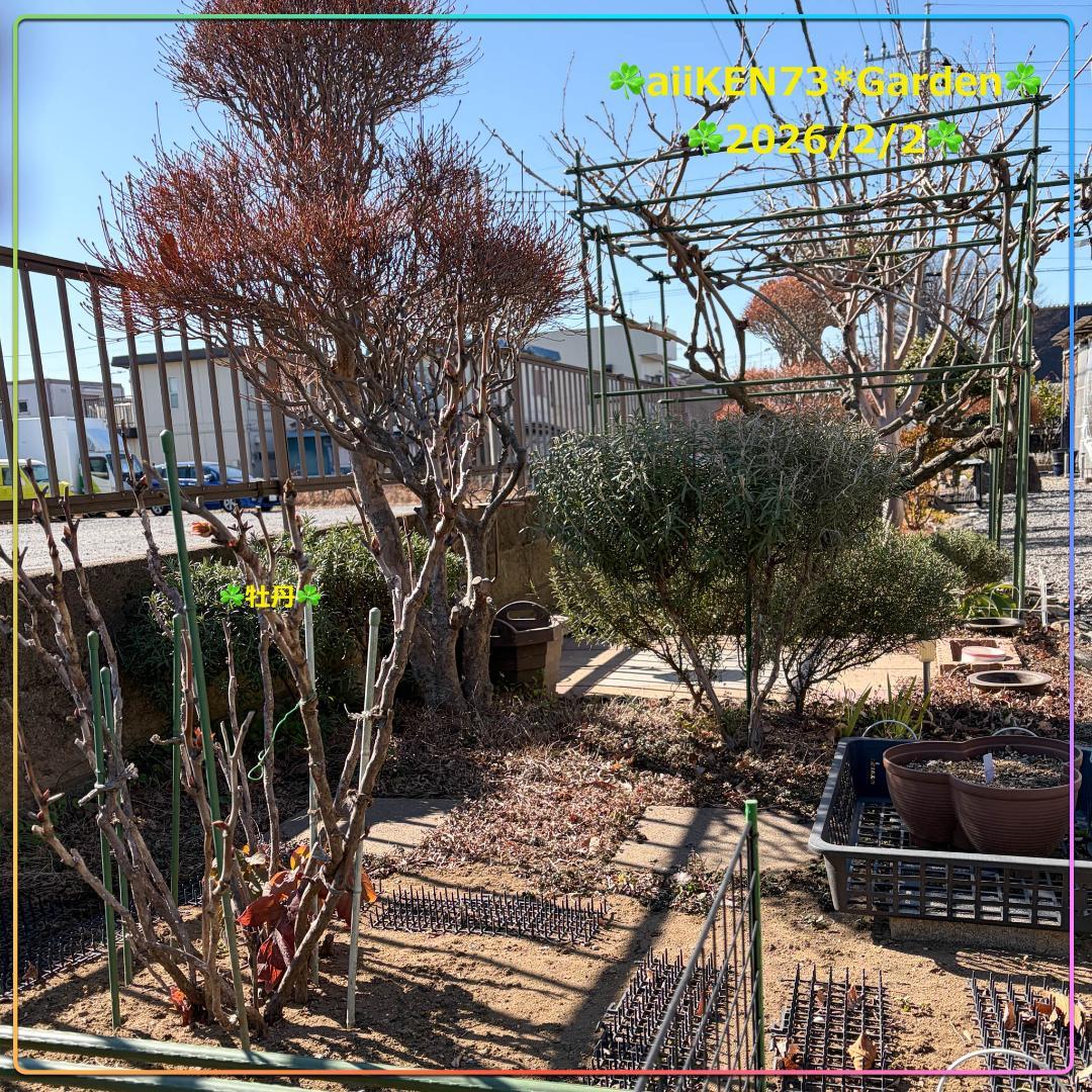 ☘️aiiKEN73*Garden☘️AG202602