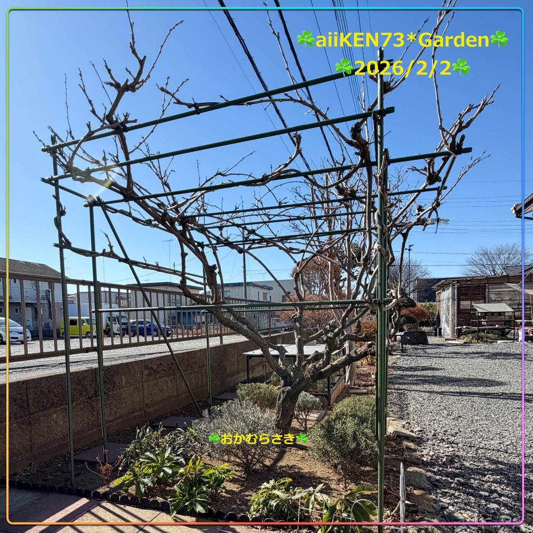 ☘️aiiKEN73*Garden☘️AG202602