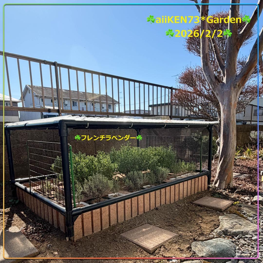 ☘️aiiKEN73*Garden☘️AG202602