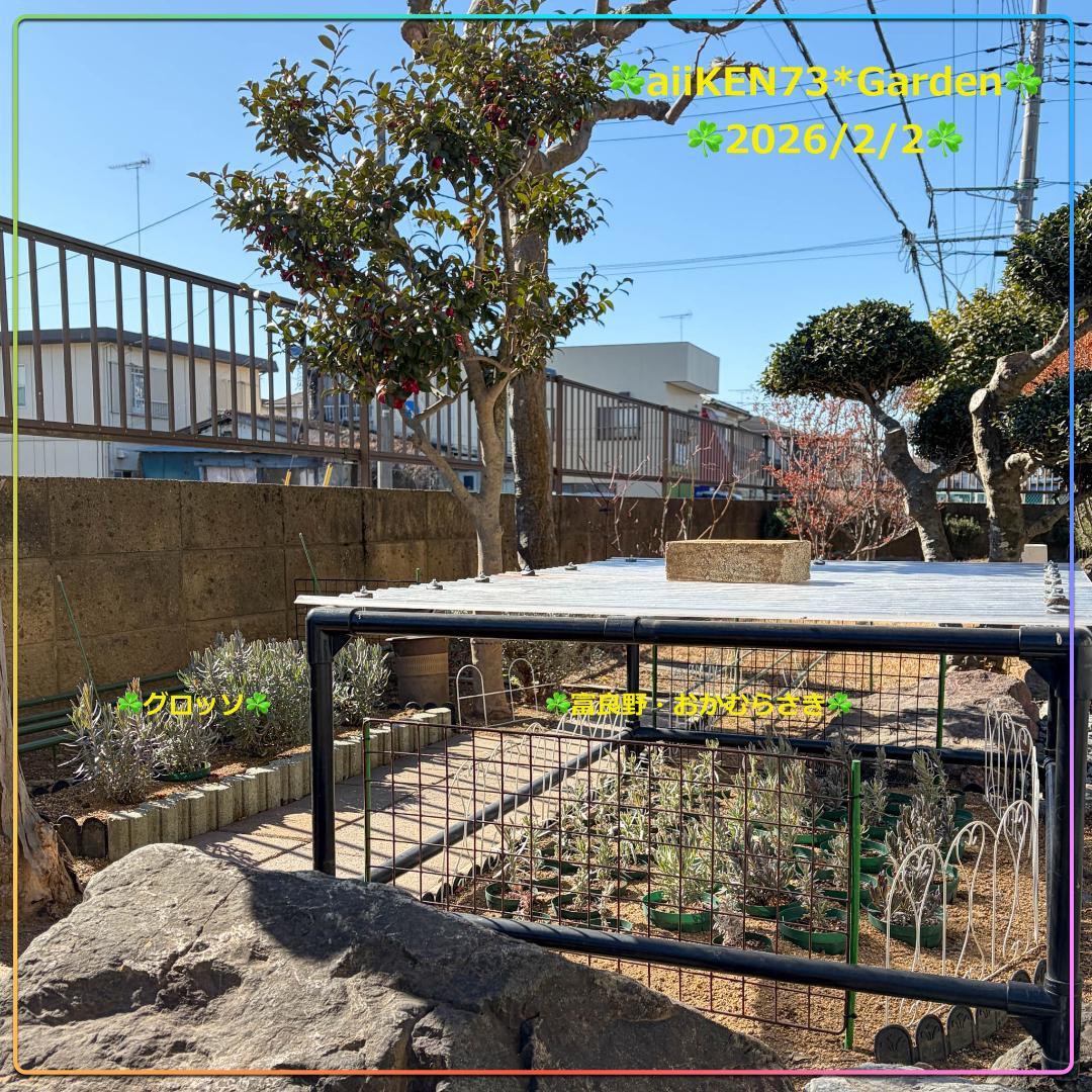 ☘️aiiKEN73*Garden☘️AG202602
