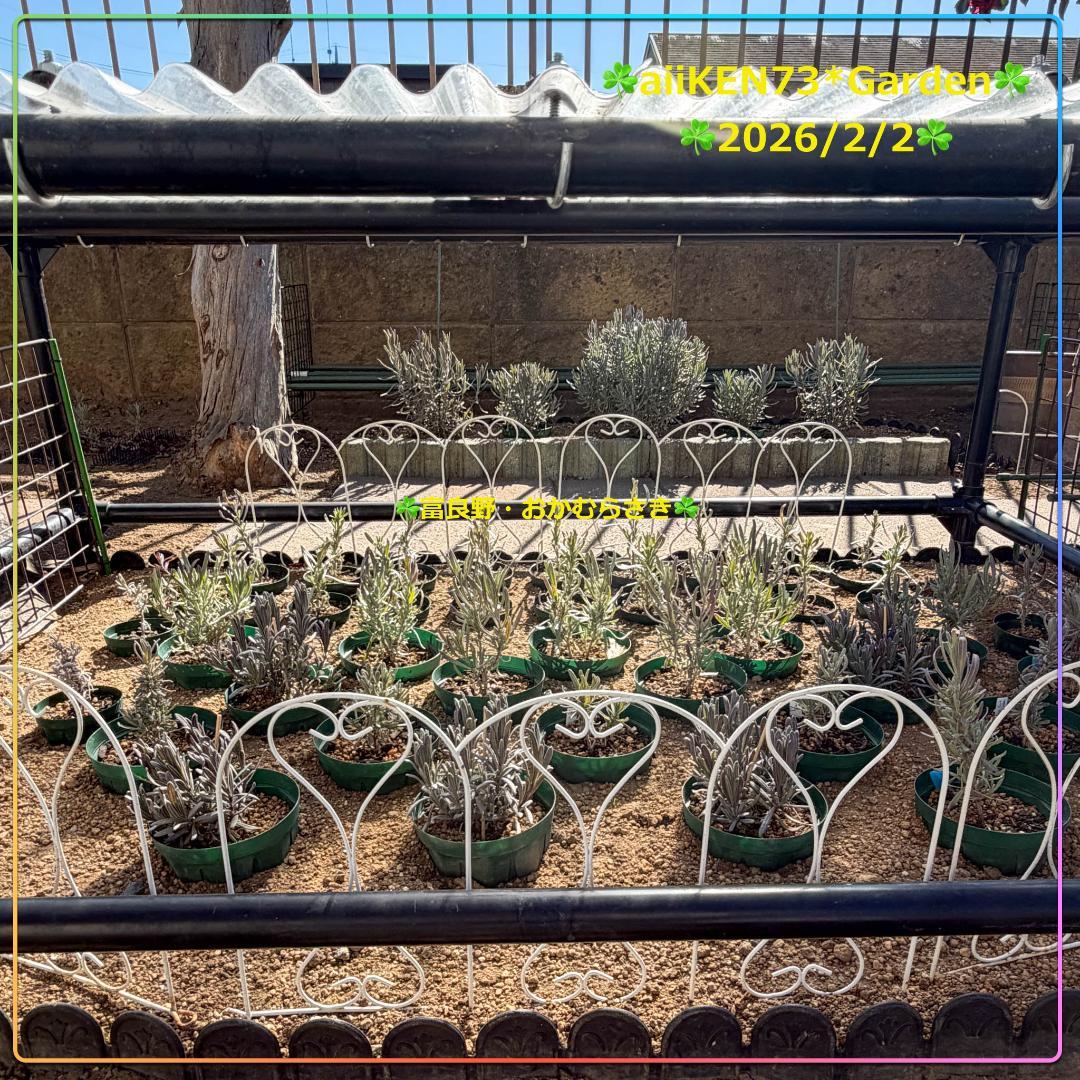 ☘️aiiKEN73*Garden☘️AG202602