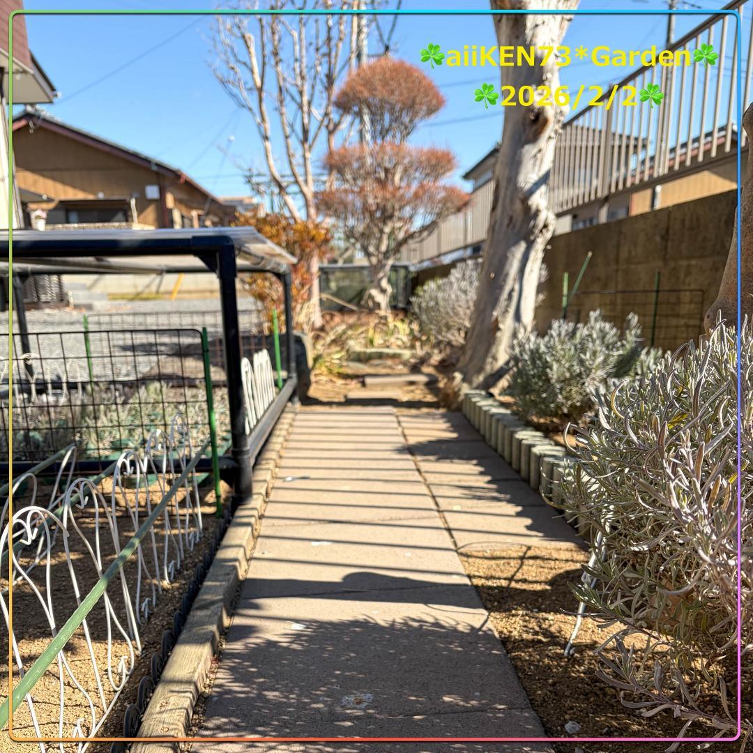 ☘️aiiKEN73*Garden☘️AG202602