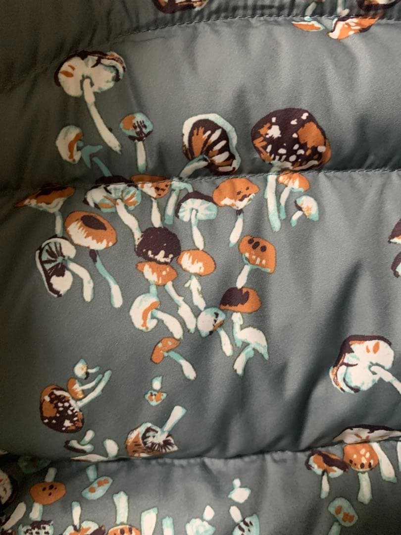 patagonia パタゴニア Bivy ビビー・フーデッド ダウンベスト