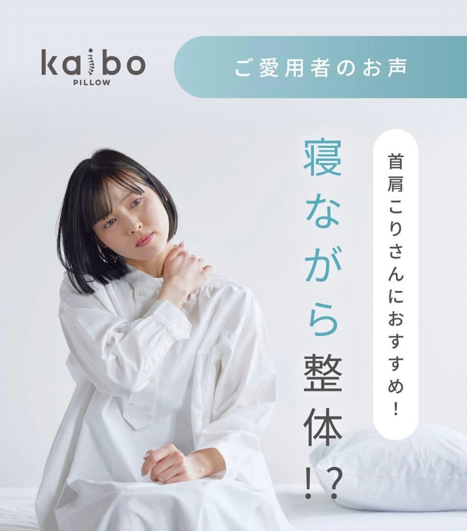 も*ん様 kaibo PILLOW | ¥25,000+tax カイボー枕　カイ