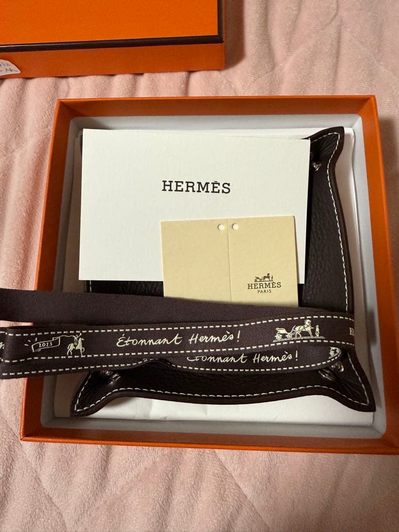 エルメス　ヴィドポッシュミニ　レ　トレイ