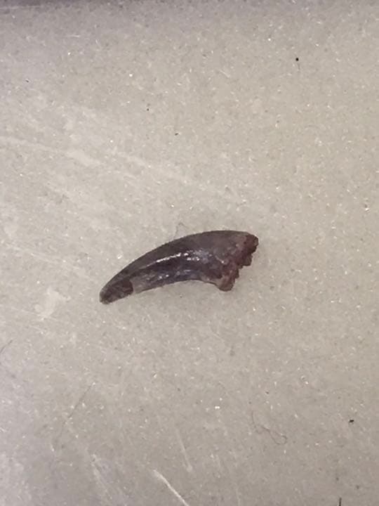 必ず説明欄をご覧ください。　確認用