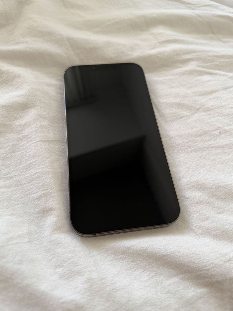 popeye01010simフリー　iPhone 13 Pro Max