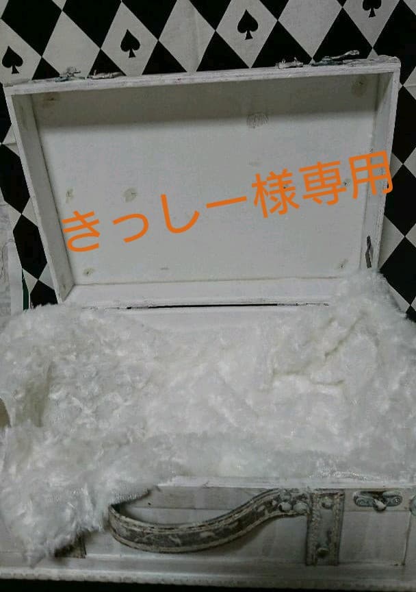 きっしーページです。