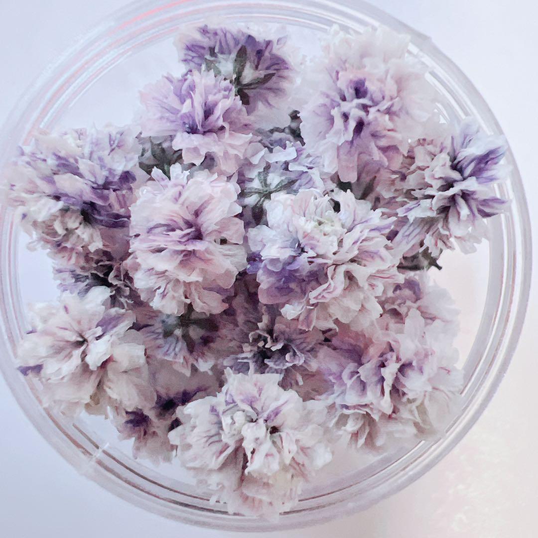 かすみ草ドライフラワー