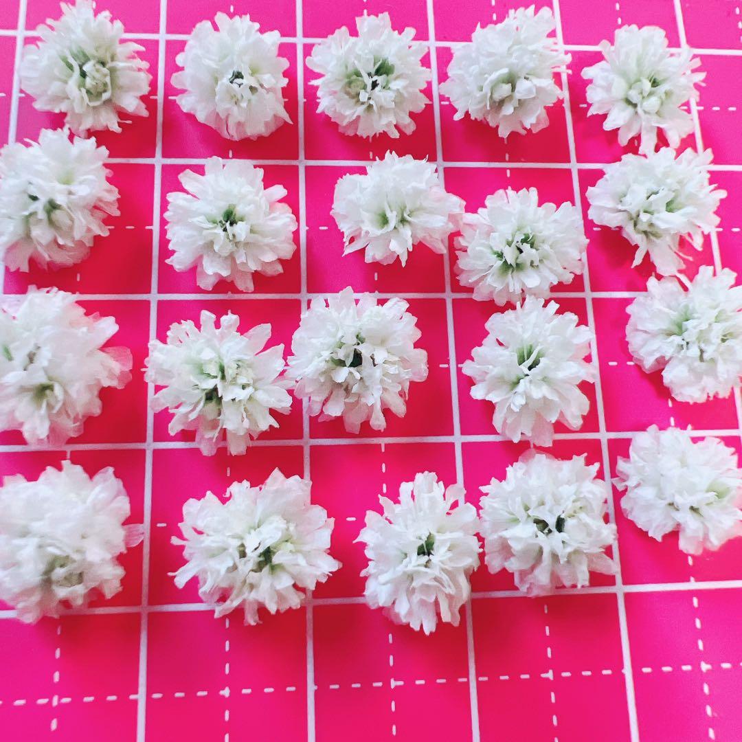 かすみ草ドライフラワー