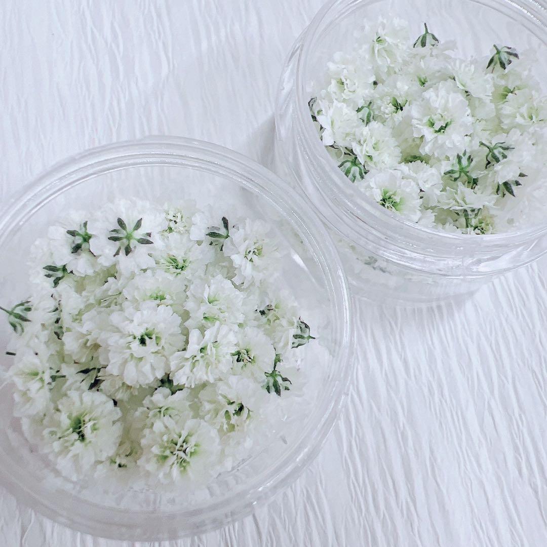 かすみ草ドライフラワー