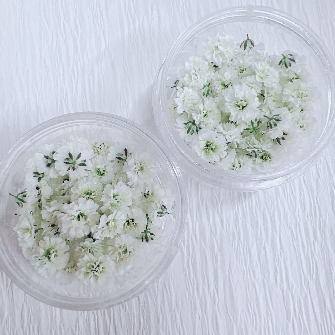 かすみ草ドライフラワー