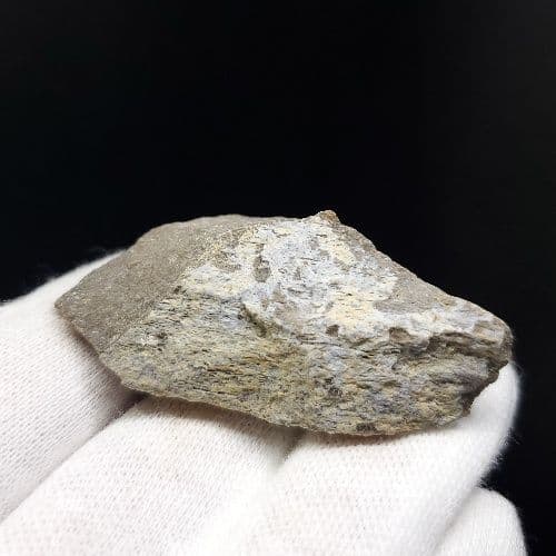 希少 ティラノサウルス 化石 骨 本物 アメリカ産 46.79mm tb105