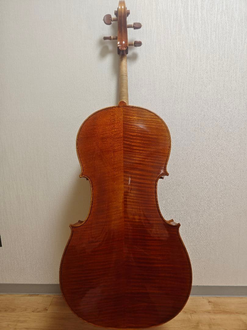 【Tm】Pygmalion Rubino 350S　チェロ